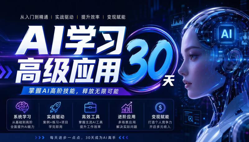 AI学习高级应用30天