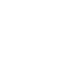 Nexus AI