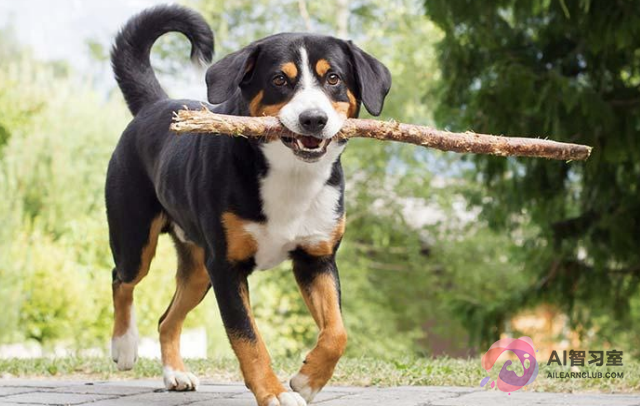 CM3leon：Meta发布多模态文生图大模型，Stable Diffution、Midjourney的劲敌来了