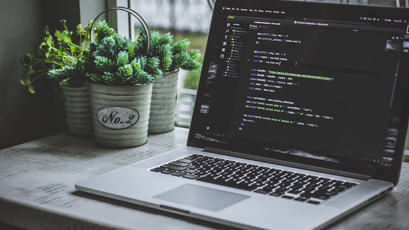 Claude Code 插件界面