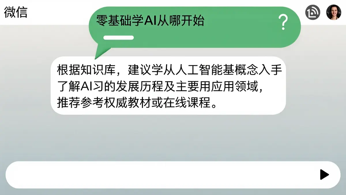 文内图