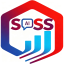 ChatSPSS